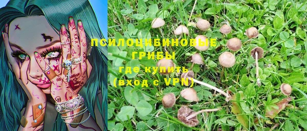 бошки Алексеевка
