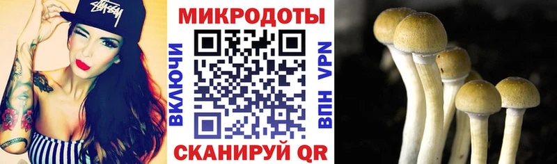 Псилоцибиновые грибы мухоморы  Евпатория 