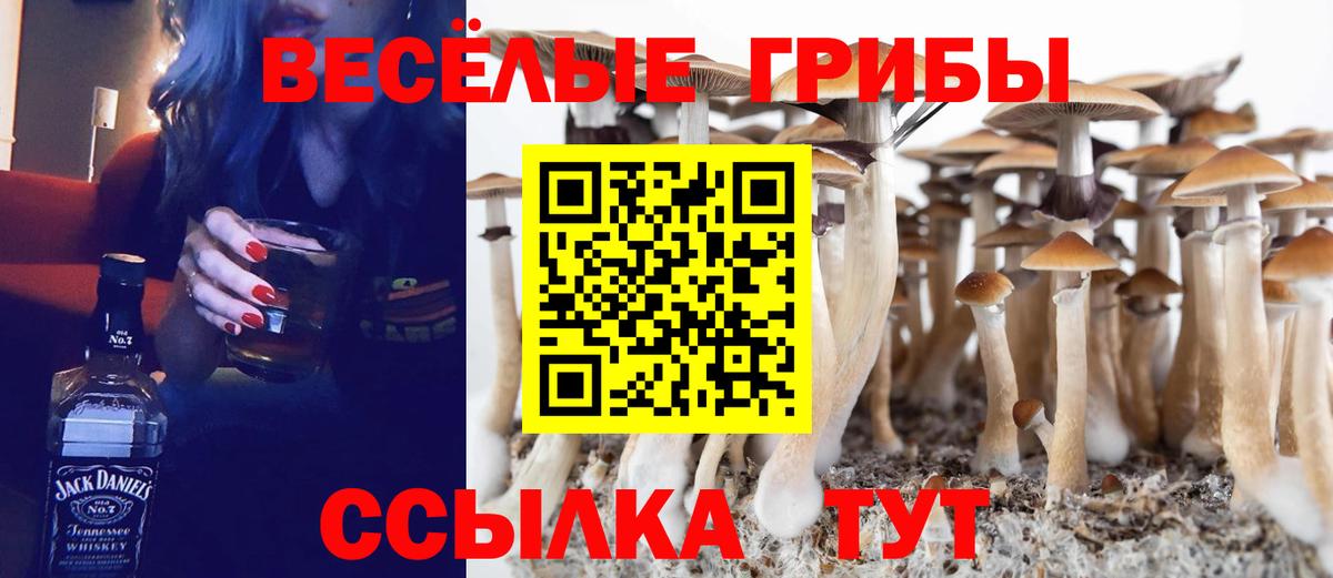 Псилоцибиновые грибы Magic Shrooms Евпатория
