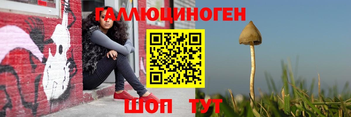 Псилоцибиновые грибы прущие грибы  Псилоцибиновые грибы прущие грибы  Евпатория  Вход с VPN 